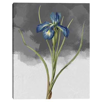 Blue Iris Grey by Design Lab Canvas Art Print