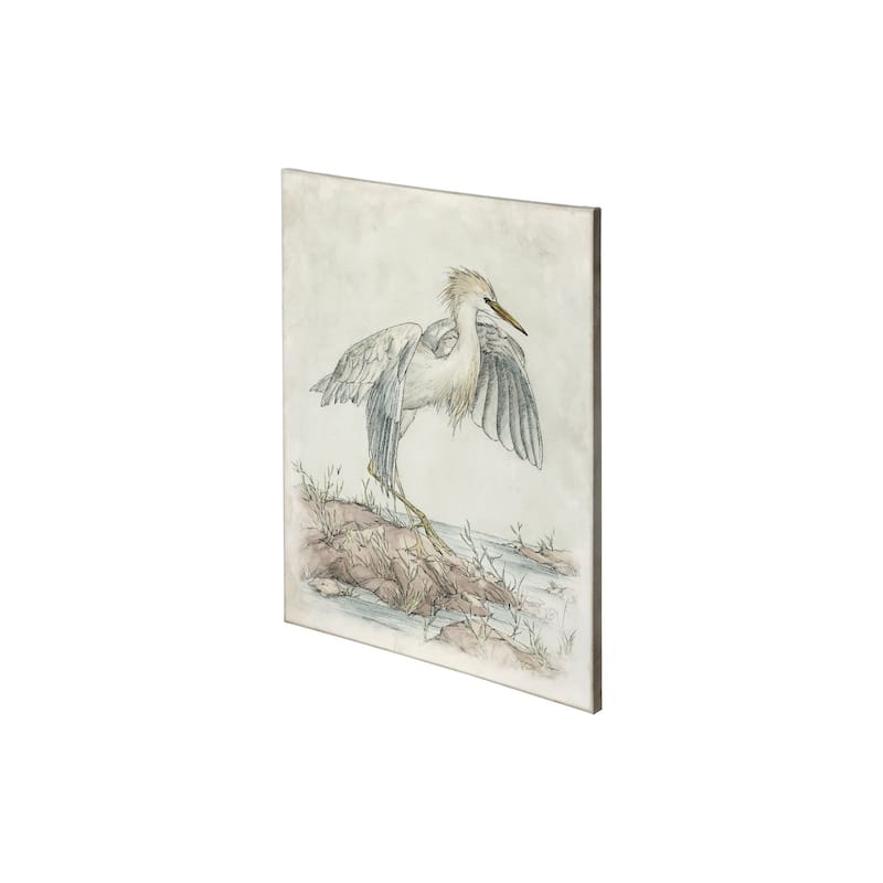 Cattle Egret (27 x 36) Canvas Art Print - Small