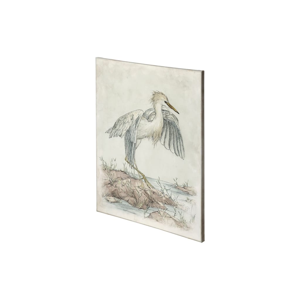 Cattle Egret (27 x 36) Canvas Art Print