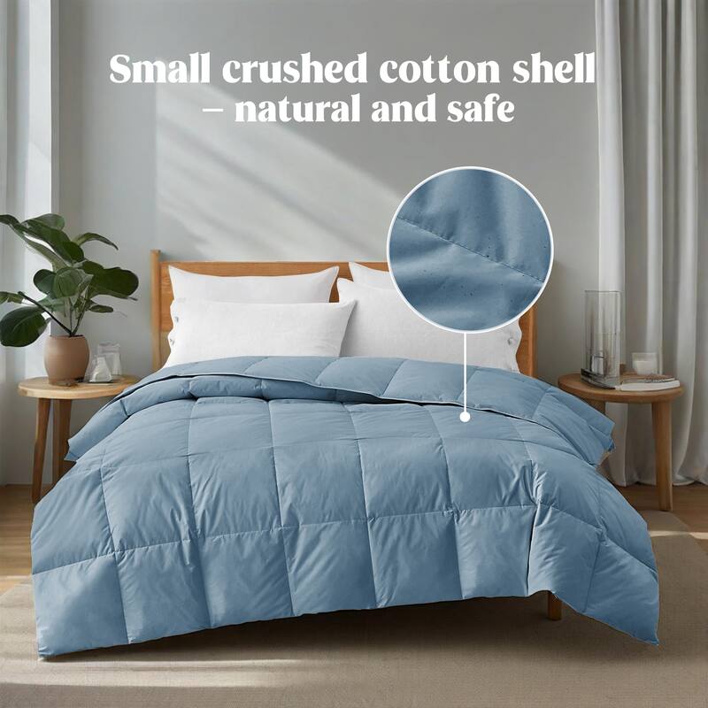 All Season 300TC Organic Cotton Down Comforter - 100% Natural, Chemical-Free, Medium Warmth Duvet Insert