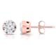 Option Rose