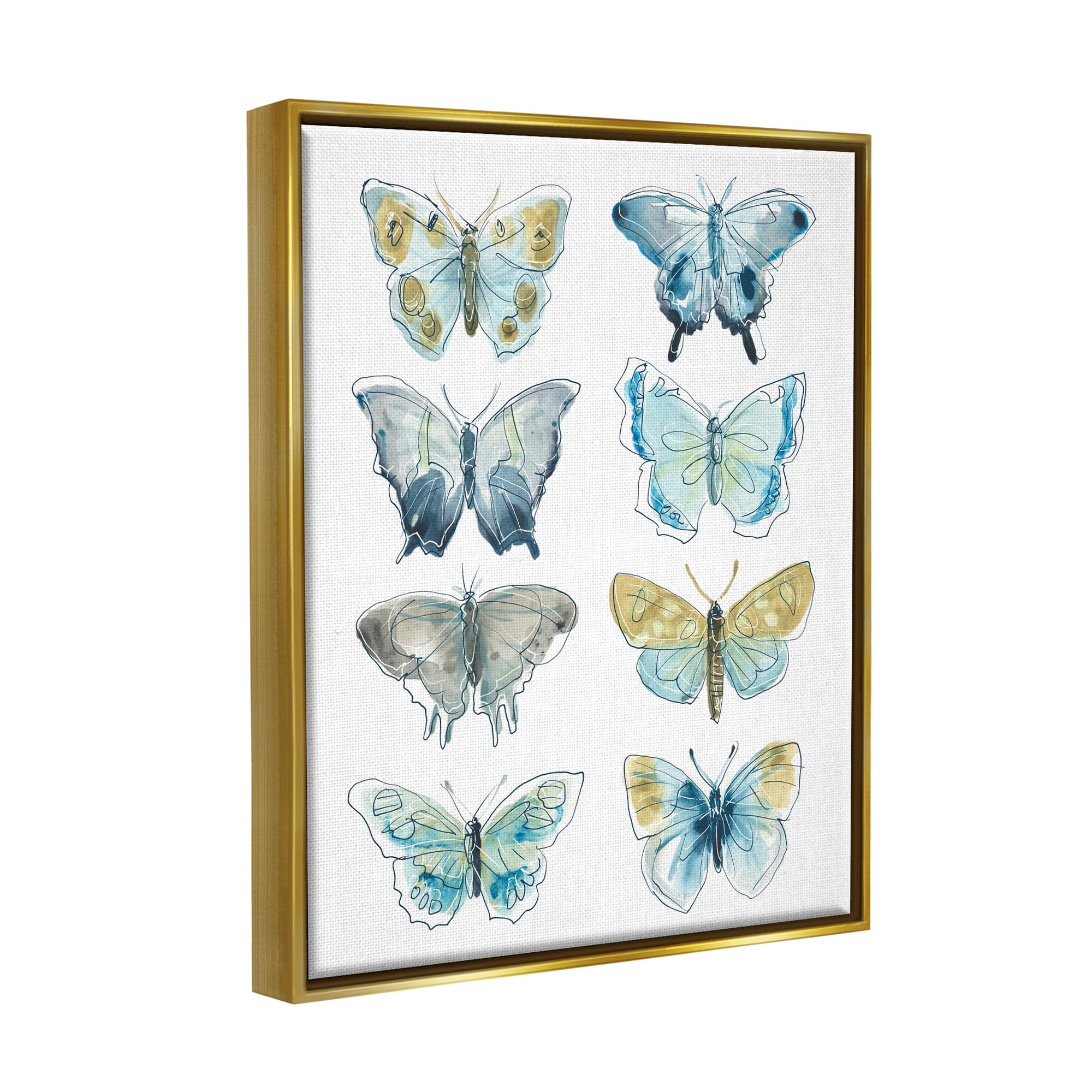 Stupell Industries Varied Butterflies & Moths Insects Framed Floater ...