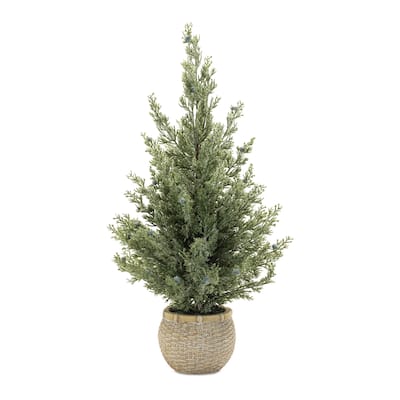 Potted Mini Pine Tree (Set of 2) - N/A