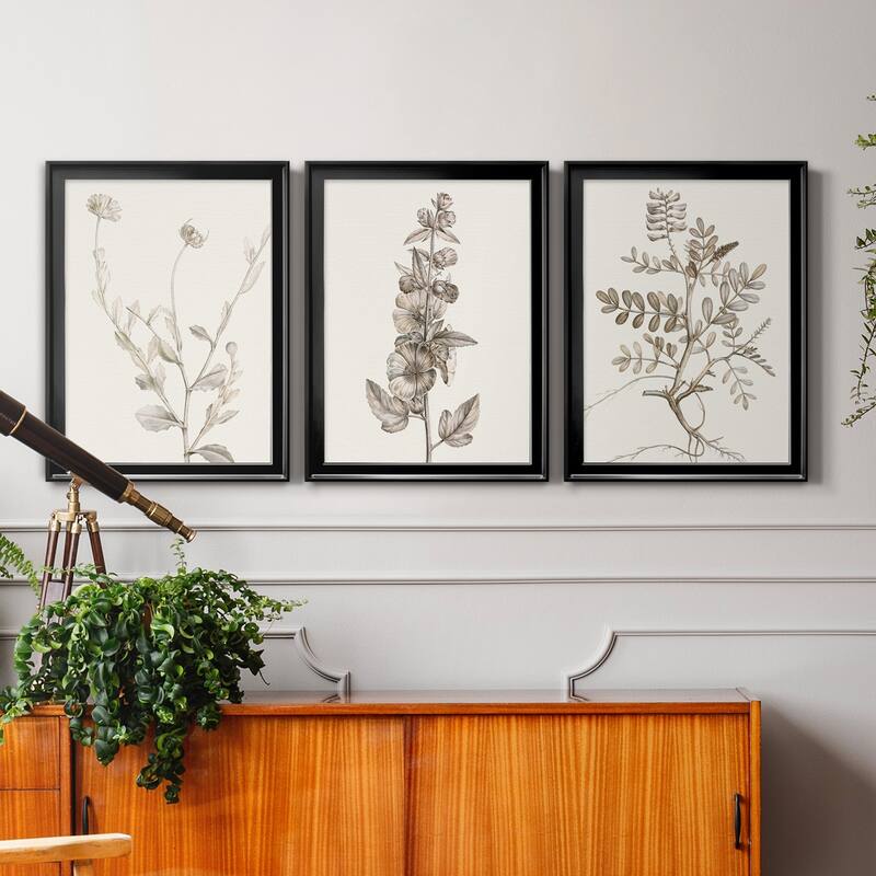 Neutral Botanical Study IV Premium Framed Canvas - Ready to Hang - Multi-Color