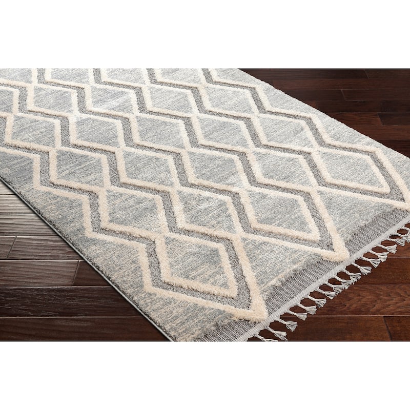Livabliss Sunbury Bohemian Diamond Area Rug