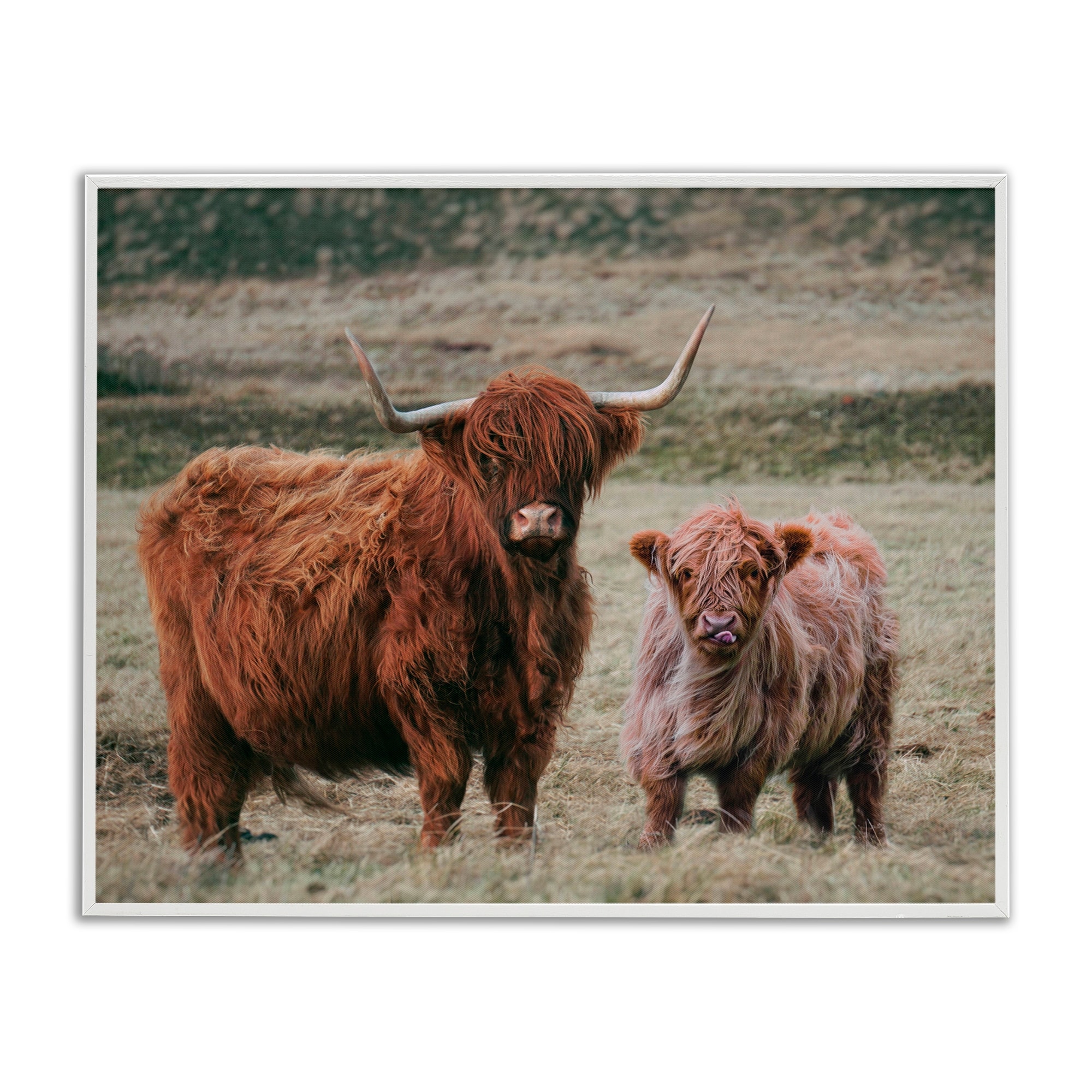 Stupell Mom & Baby Cow Framed Giclee Art Design By Lettered and Lined