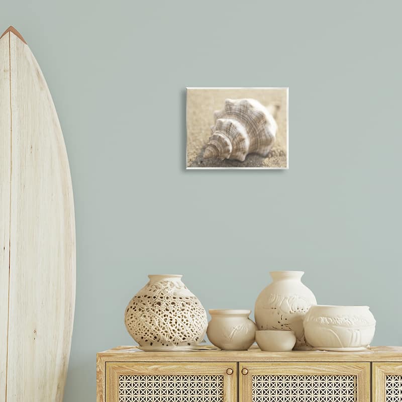 Stupell Neutral Tone Conch Shell Wall Plaque Art Design By Dora Rotondella