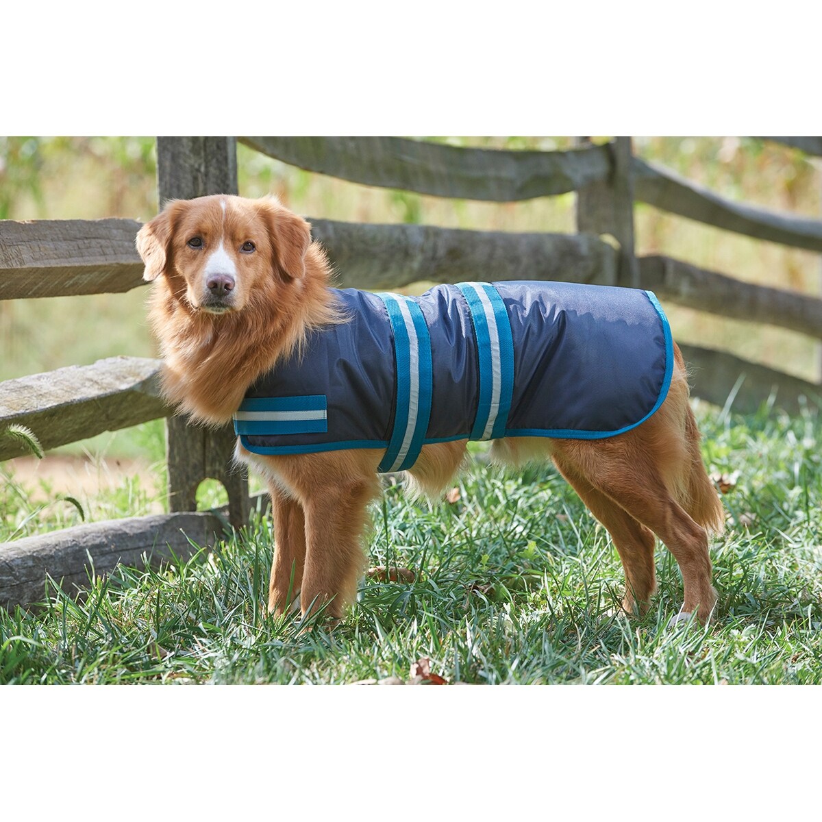 Shop Blue Extra Large Dog Blanket Coat Overstock 20327038