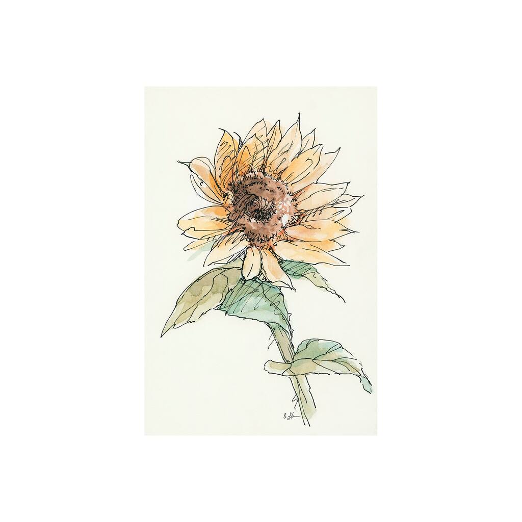 Sunflower I (20 x 30) Canvas Art Print