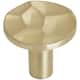 Option Golden Champagne