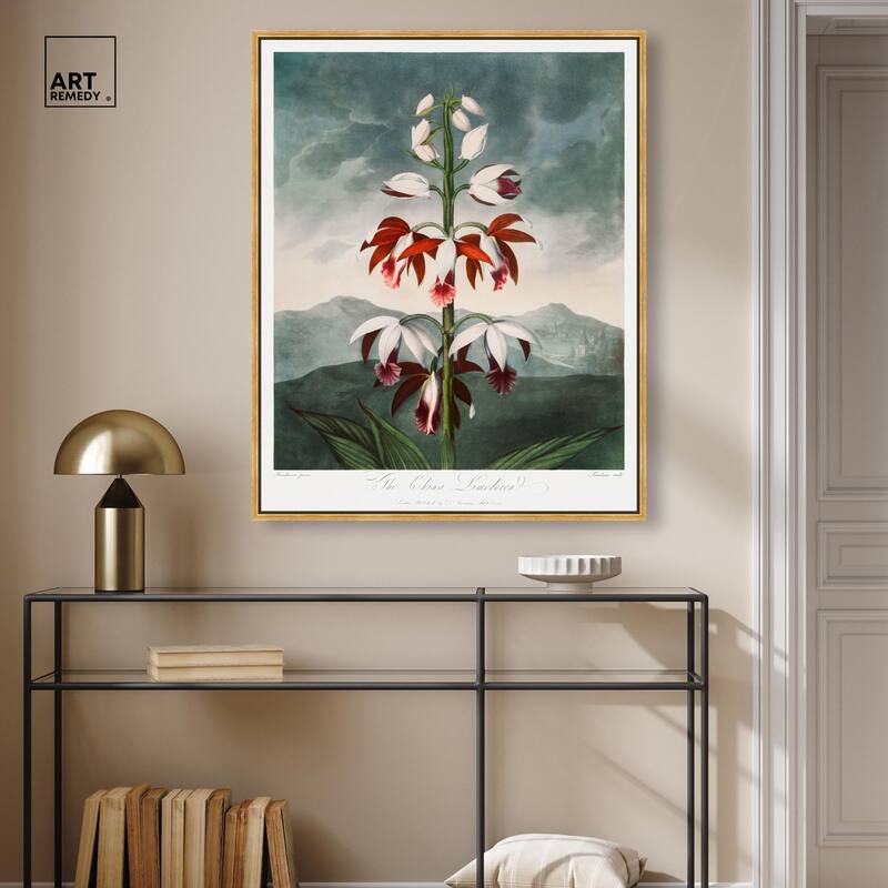 The China Limodoron 1807 Canvas by Art Remedy