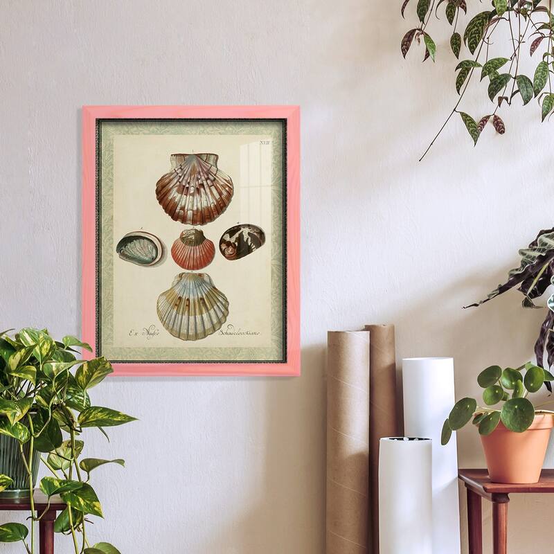 Bookplate Shells III -Framed Print w/glass-Cherry Red