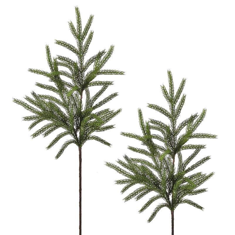 36" Real Touch Forest Norfolk Pine Spray
