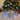 Alpine Corporation 3-Piece Decorative Wooden Christmas Gift Box Set with LED Lights