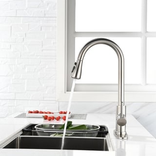 Renee Kitchen Faucet With Pull Out Spraye ?imwidth=256