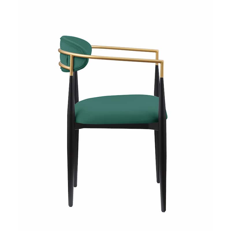 Modern Contemporary 2pcs Side Chairs