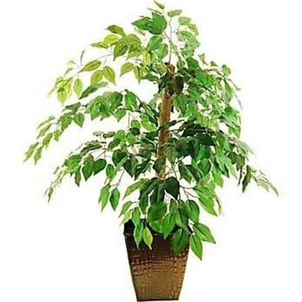 Designs by Lauren 16TFP46 38 in. Mini Ficus Tree in an Embossed Metal Container with Faux Dirt