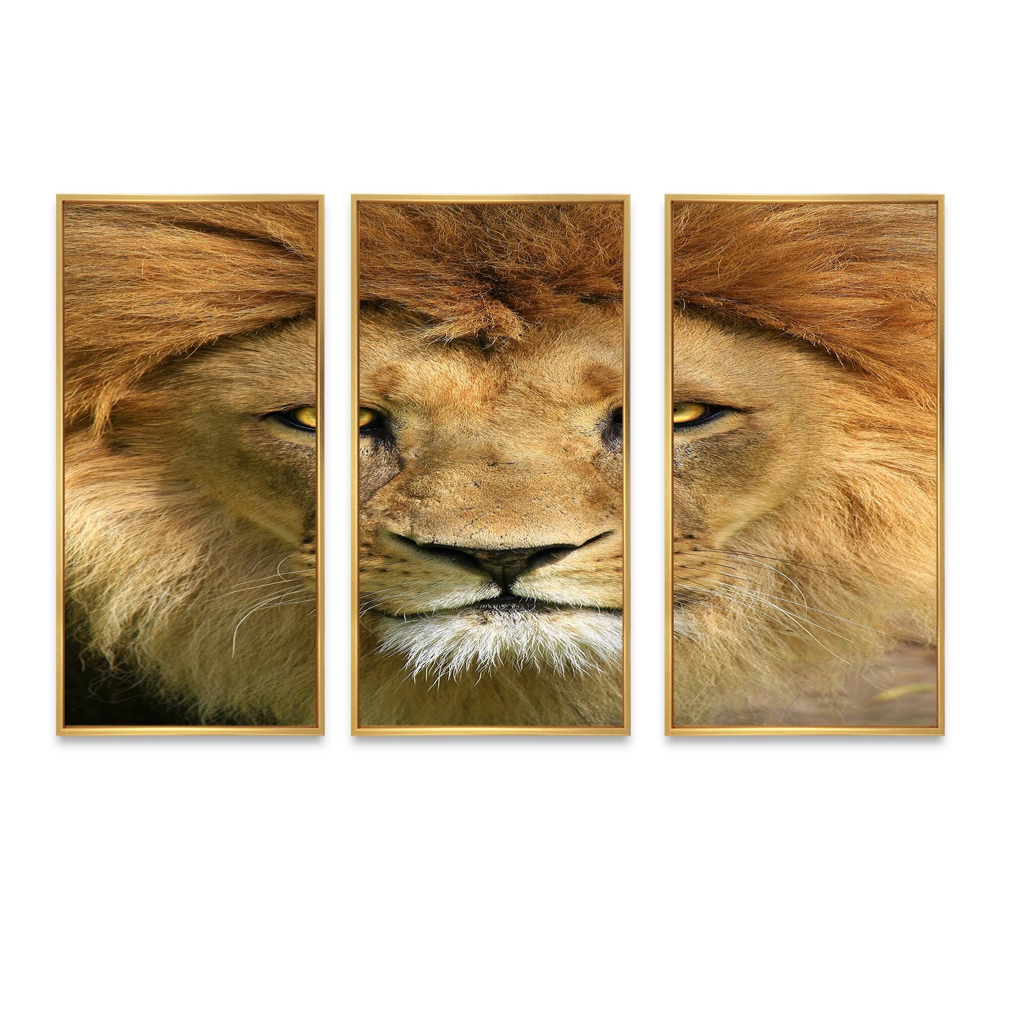 Designart "Lion with Calm Face" Animal Framed Wall Decor Set of 3 4
