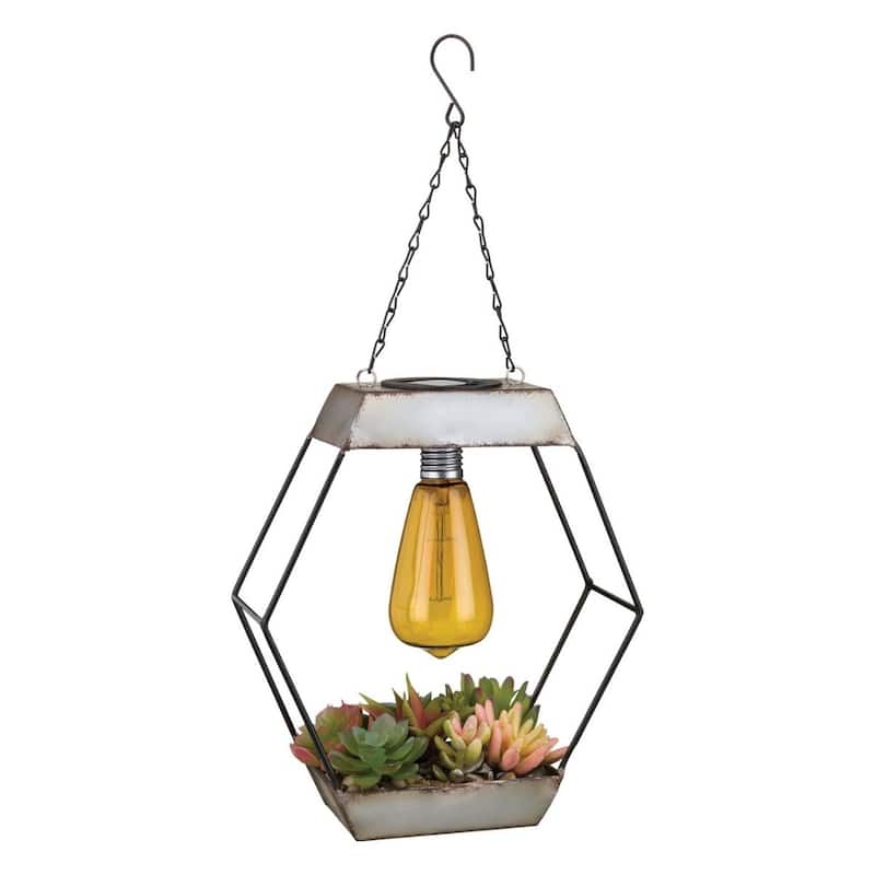 Edison Succulent Solar Lantern - Diamond