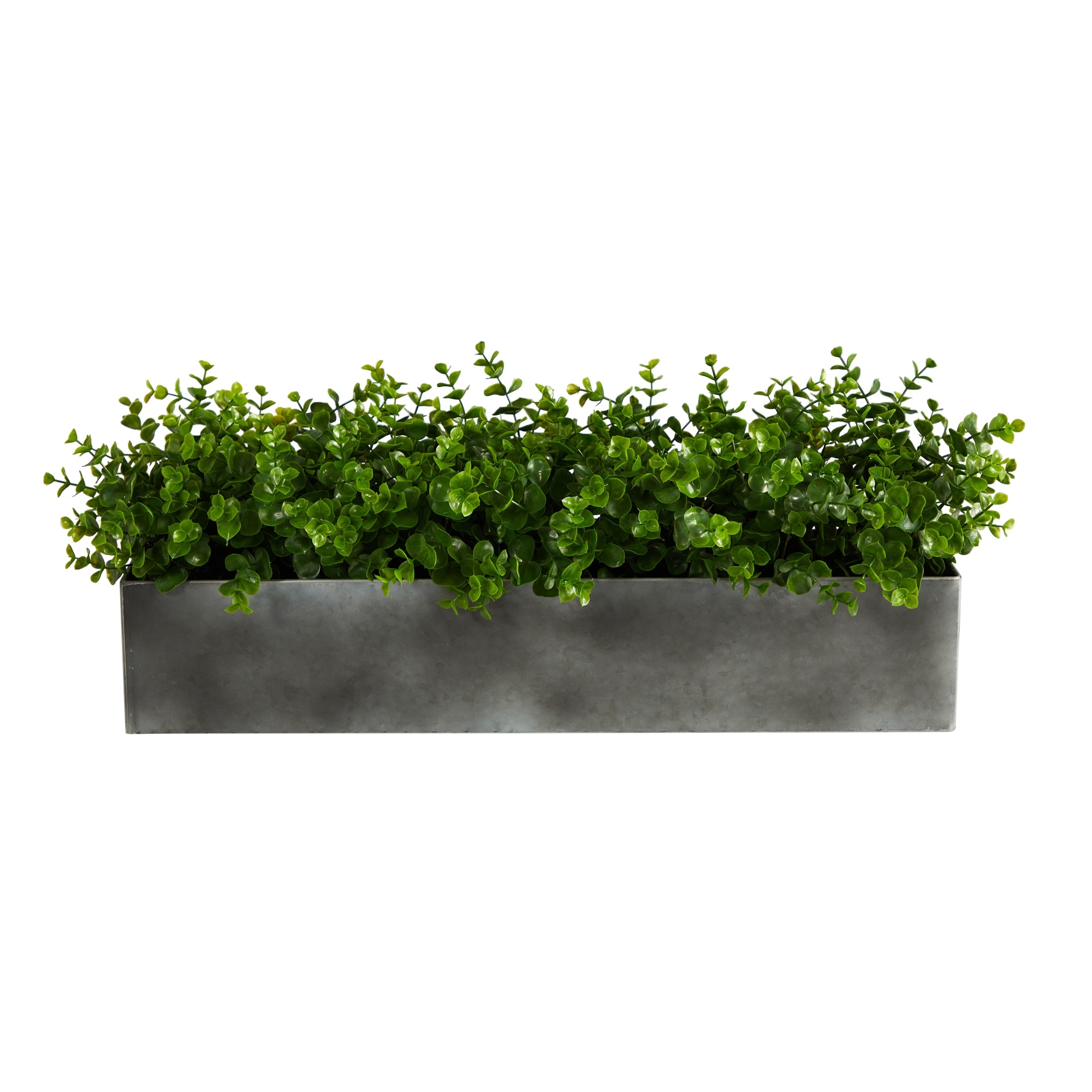 25" Eucalyptus Artificial Plant - 4.5"