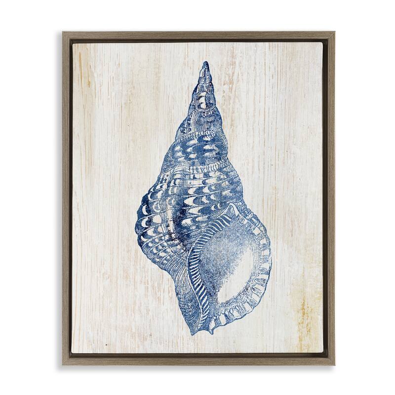Stupell Tranquil Blue Shell Framed Floater Canvas Wall Art Design By Susan Arnot - 25 x 31 - Brown