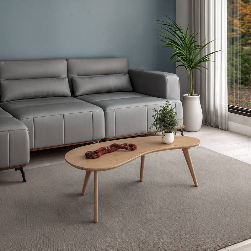 Mid Century Modern Coffee Table