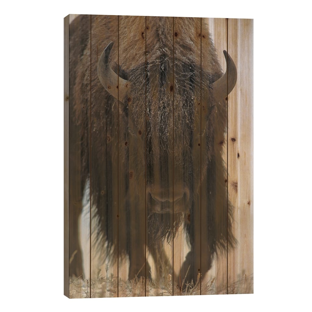 American Bison In Snow, North America Print On Wood by Tim Fitzharris - Multi-Color