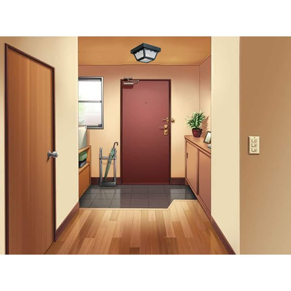 1 Light lights and fixtures black ceiling lighting polypropylene hall light fixtures