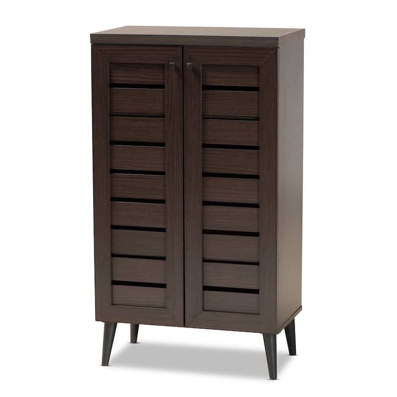 Salma Modern and Contemporary 2-Door Shoe Storage Wood Cabinet