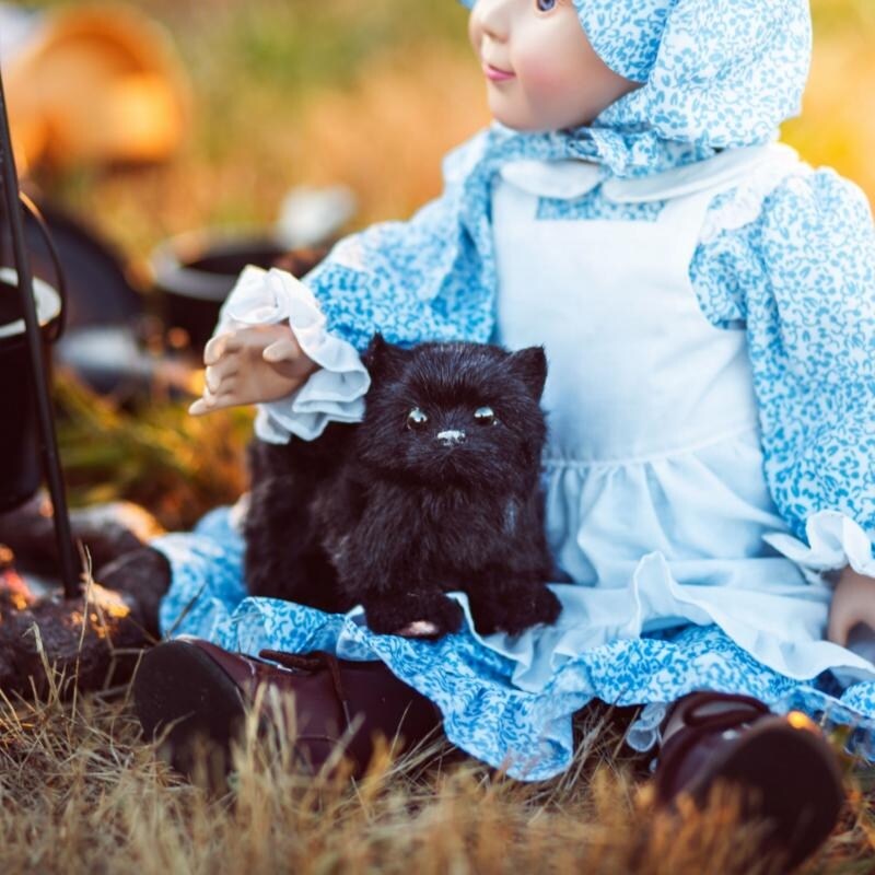 Shop Little House On The Prairie Realistic Black Susan Green