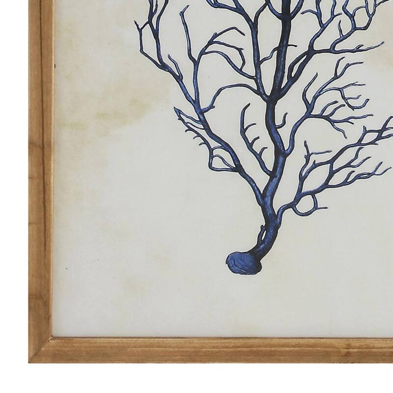 Wood Framed Wall Art with Shells & Coral