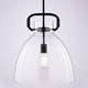 preview thumbnail 9 of 8, Madrona 1 Light Contemporary Pendant Light Clear Glass