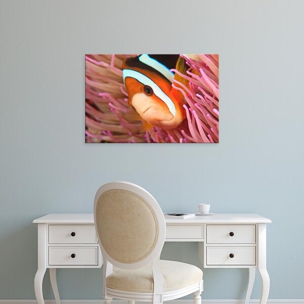 Easy Art Prints Stuart Westmorland's 'Anemonefish' Premium Canvas Art
