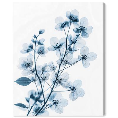 Translucent Petals I Canvas by Art Remedy, Gallery Wrapped