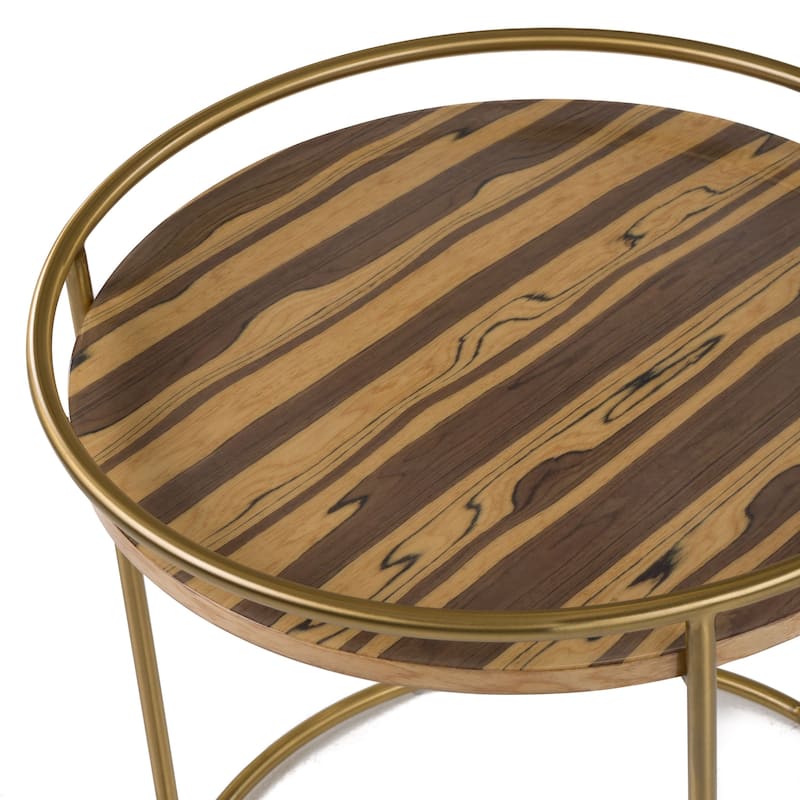 Modrest Gilcrest Glam Brown and Gold Marble End Table