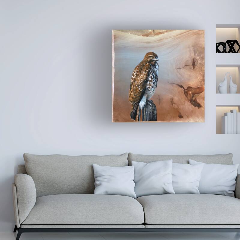 Jim Brune 'Redtail Hawk' Canvas Art