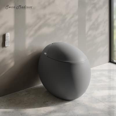 Plaisir Smart One-Piece 1.28 Gpf Single Flush Toilet In Matte Gray