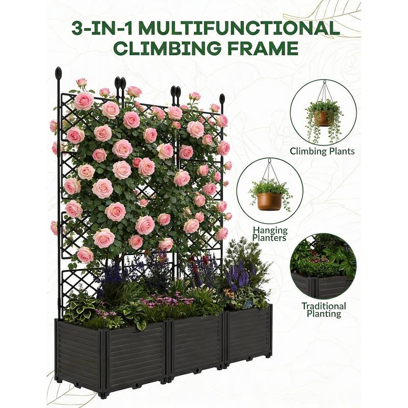 Raised Garden Bed, with Trellis & Privacy Screen