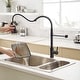 Modern Black Stainless Steel Pull-out Kitchen Faucet - Bed Bath ...