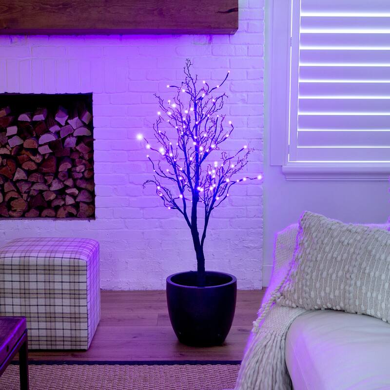Pre-Lit Black Twig Halloween Artificial Tree - 4' - Orange and Purple LED Lights