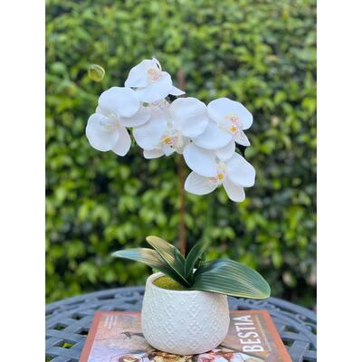 18" Real-touch orchid in 4.8" WH Indian ceramic pot,E PACK - ONE-SIZE
