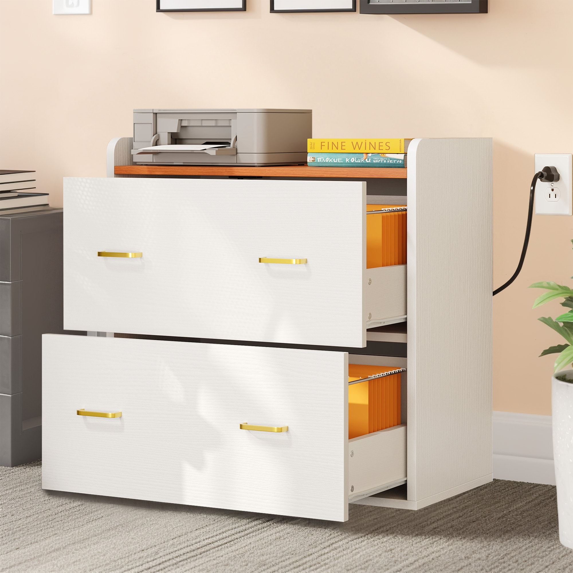 Moasis 2-Drawer File Cabinet Lateral Filing Cabinet Home Office File Cabinet