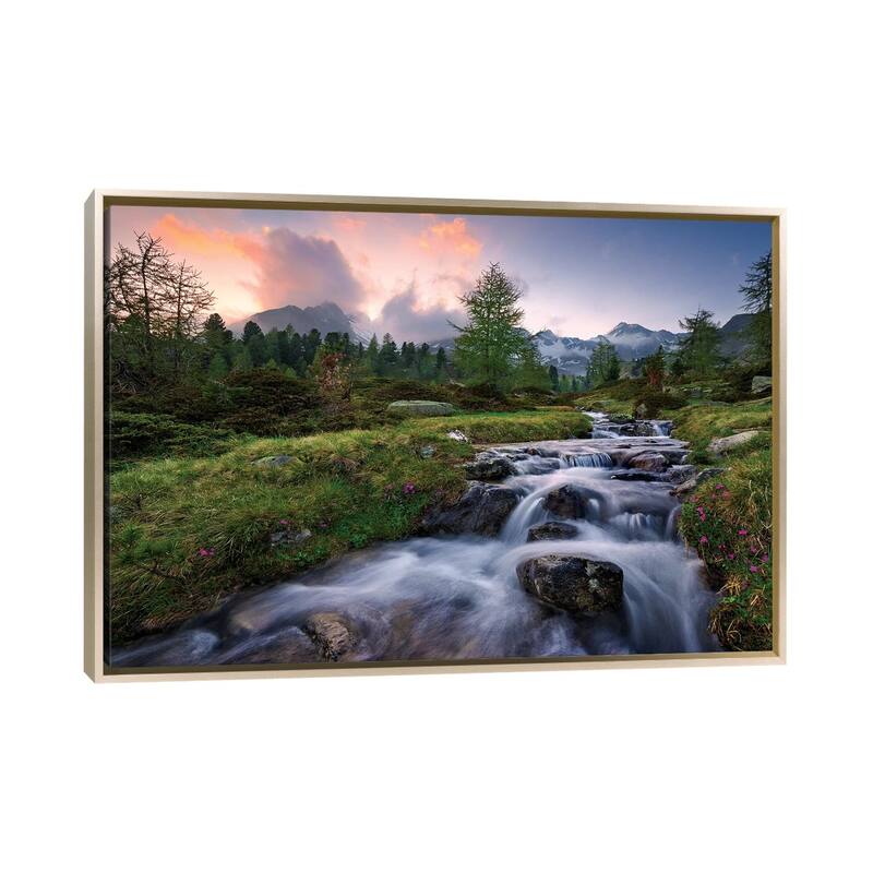 "Wild Paradise" by Stefan Hefele Framed