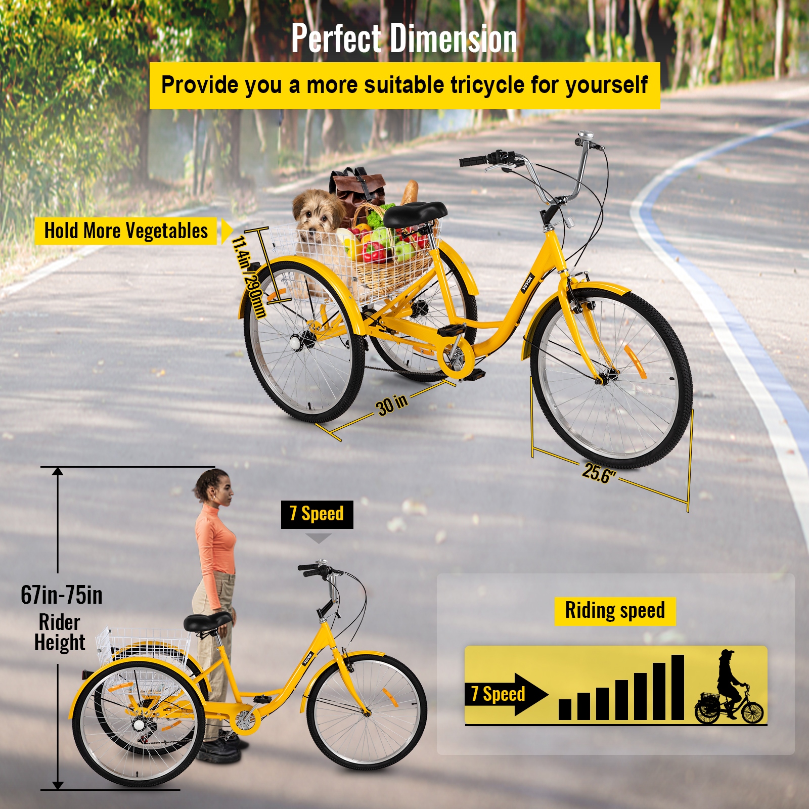 Large adult bike sales