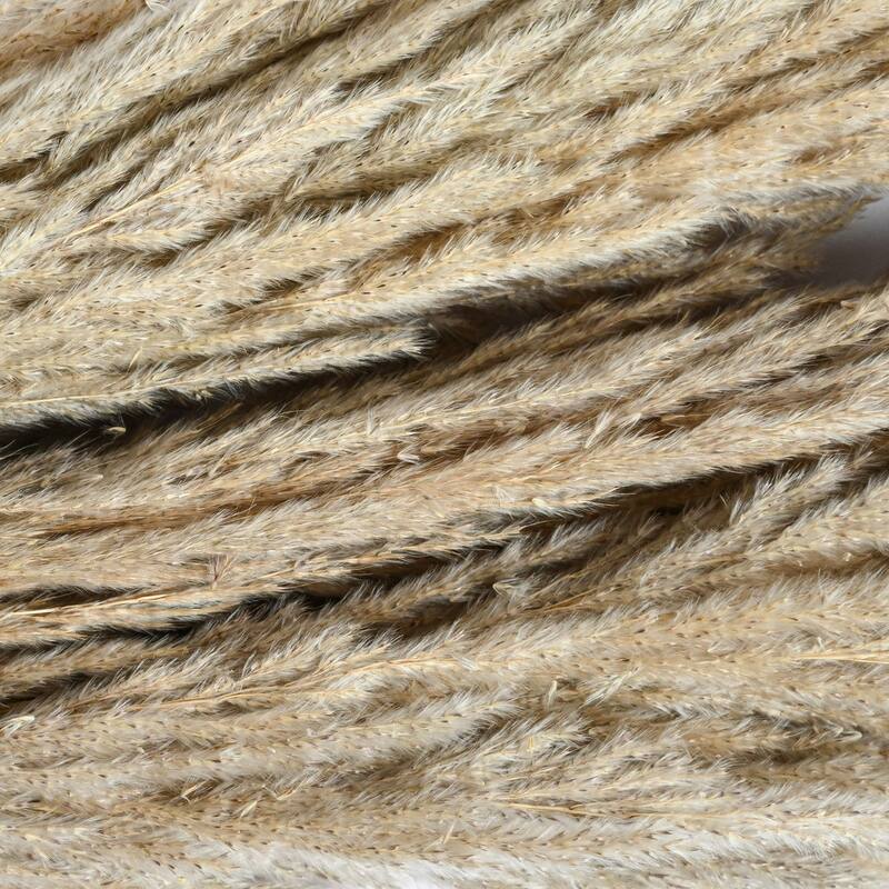 Long Dried Pampas Grass Spray Bundles - 24.5" - Brown