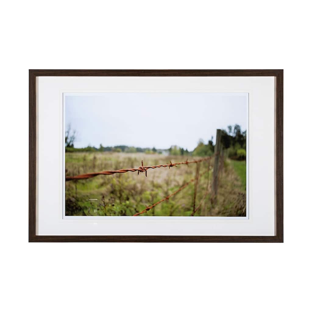 Barbed Wire Framed Art Print
