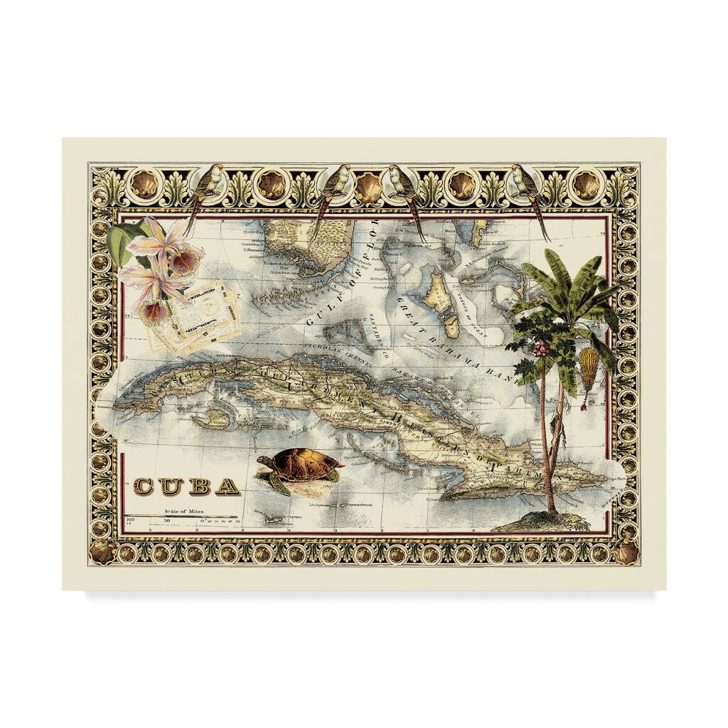 Vision Studio 'Tropical Map Of Cuba' Canvas Art