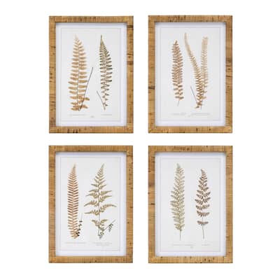 Wood Framed Fern Print (Set of 4)