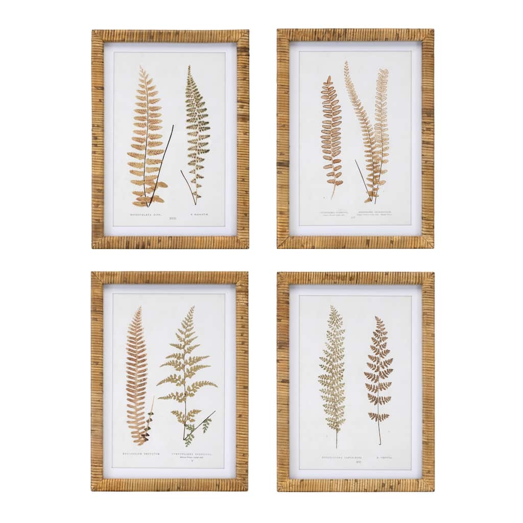 Wood Framed Fern Print (Set of 4)