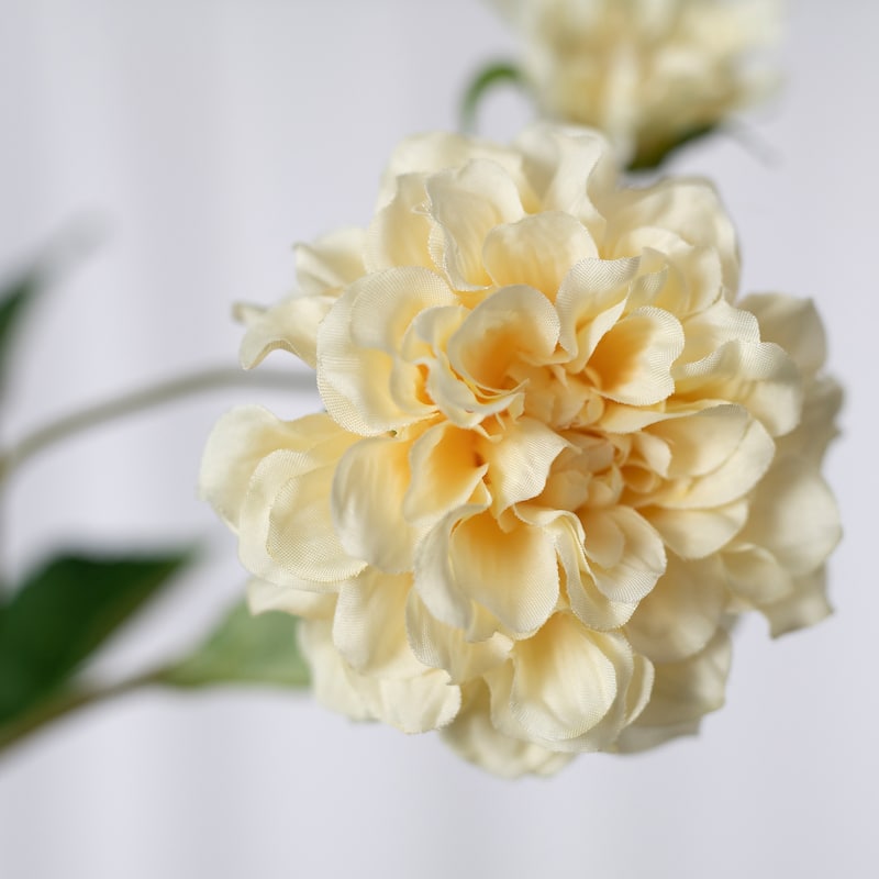 Silk Decorative Artificial Paeonia lactiflora(Pack of 1 Branch)